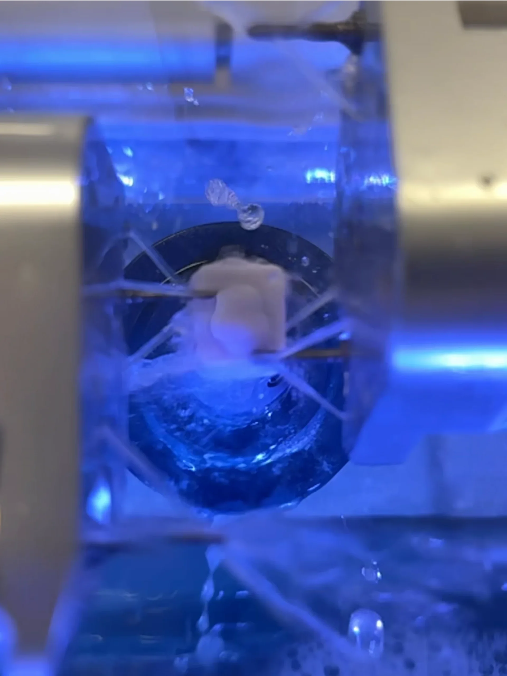 yqu9mffq11l3so7qvtgk